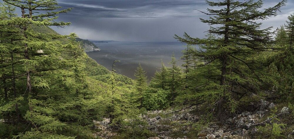 Photograph by Светлана Гореликова