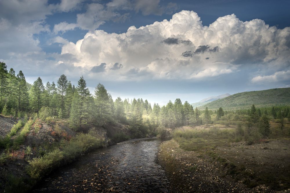 Photograph by Светлана Гореликова