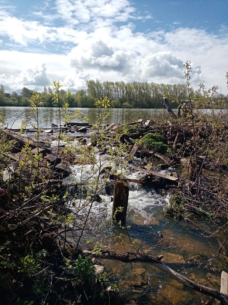 Photograph by Неля Кочурова