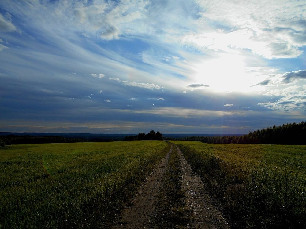 Фотография автора Неля Кочурова