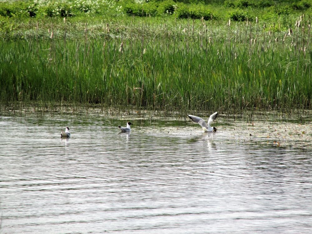Photograph by Неля Кочурова