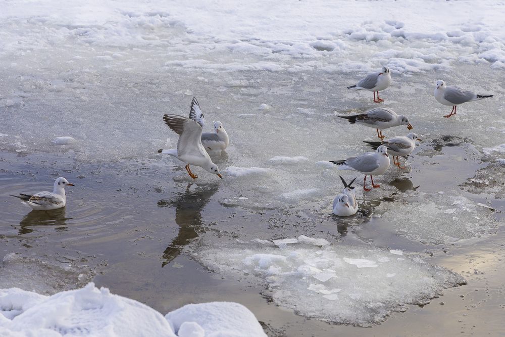 Photograph by Вадим Копилец