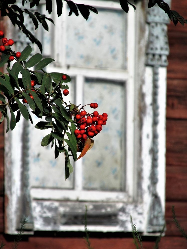 Photograph by Неля Кочурова