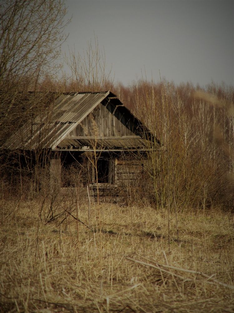 Photograph by Неля Кочурова