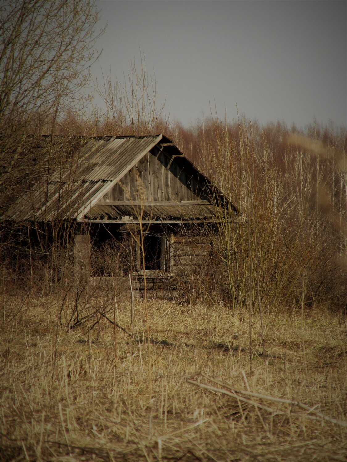 Photo #13199561