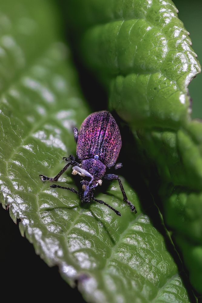 Photograph by Игорь Толкачев