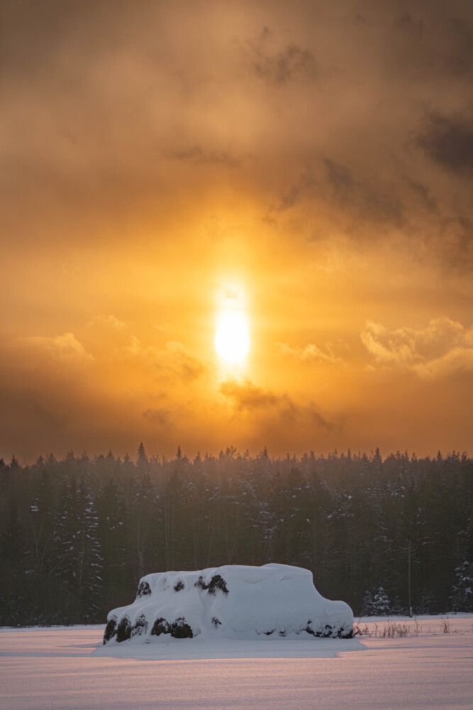 Photograph by Высотских Владимир