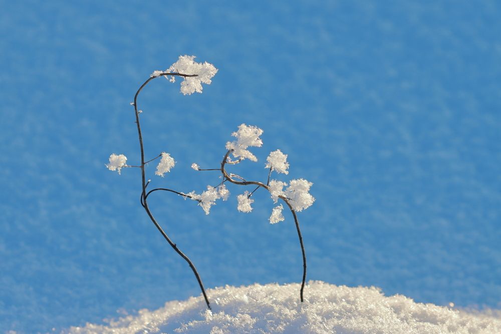 Photograph by Михаил Батурицкий