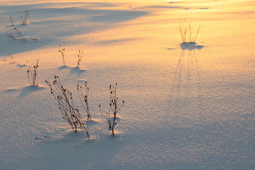 Photograph by Михаил Батурицкий