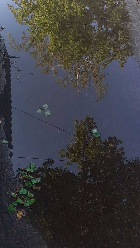 Photograph by Елена Лещева