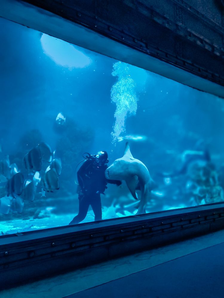 Фотография автора Наталья Королева