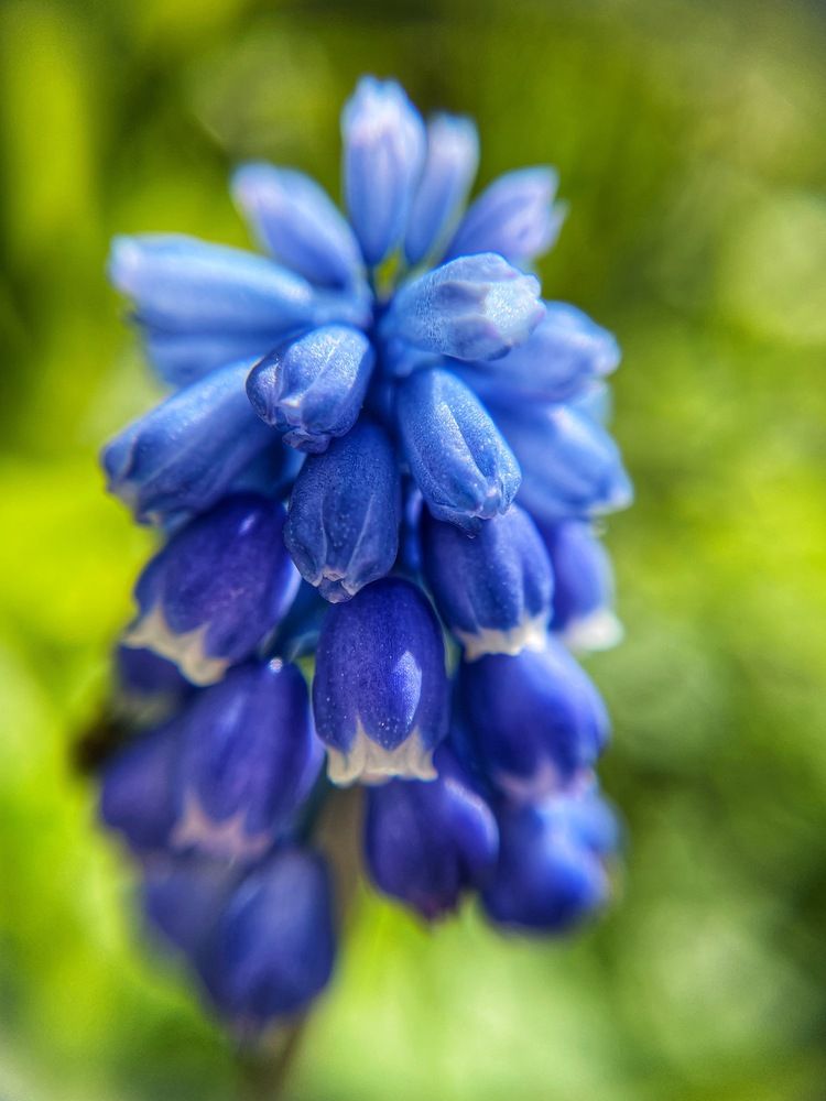 Photograph by Алена Кривцова