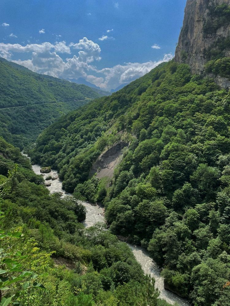 Photograph by Алена Кривцова