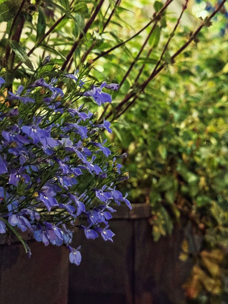 Photograph by Алена Кривцова