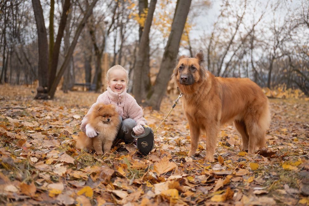 Фотография автора Александра Белова