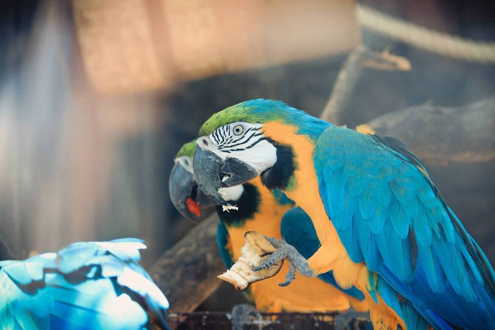 Photograph by Христина Сергейчик