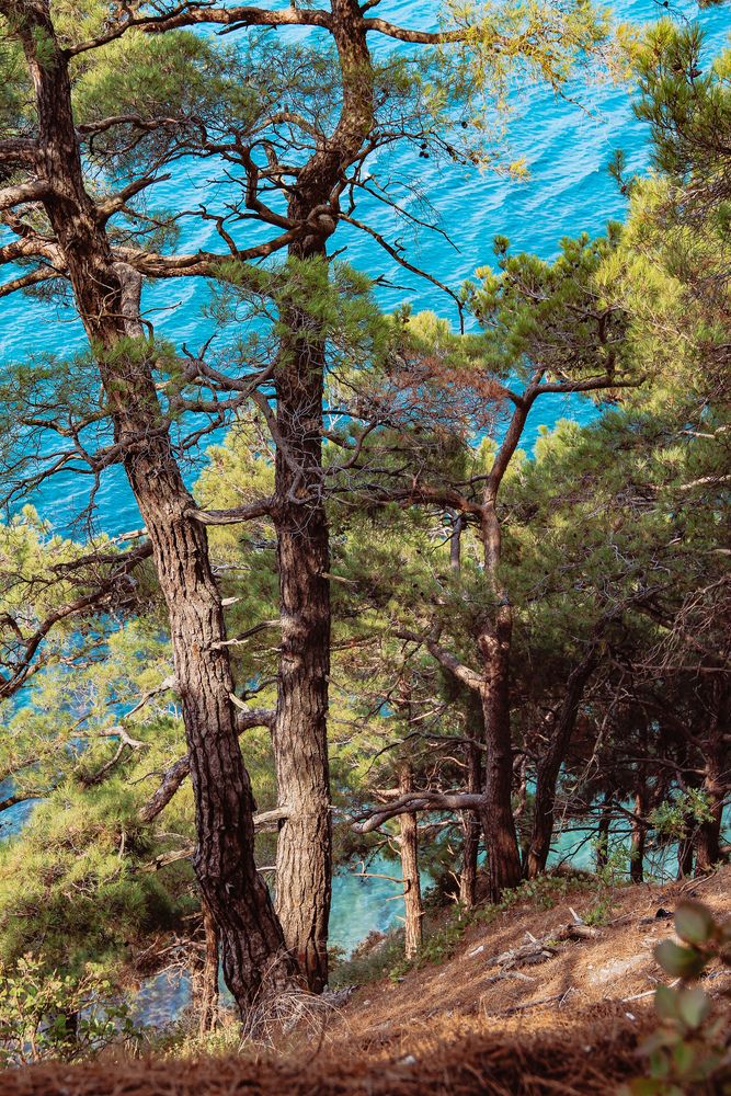 Photograph by Христина Сергейчик