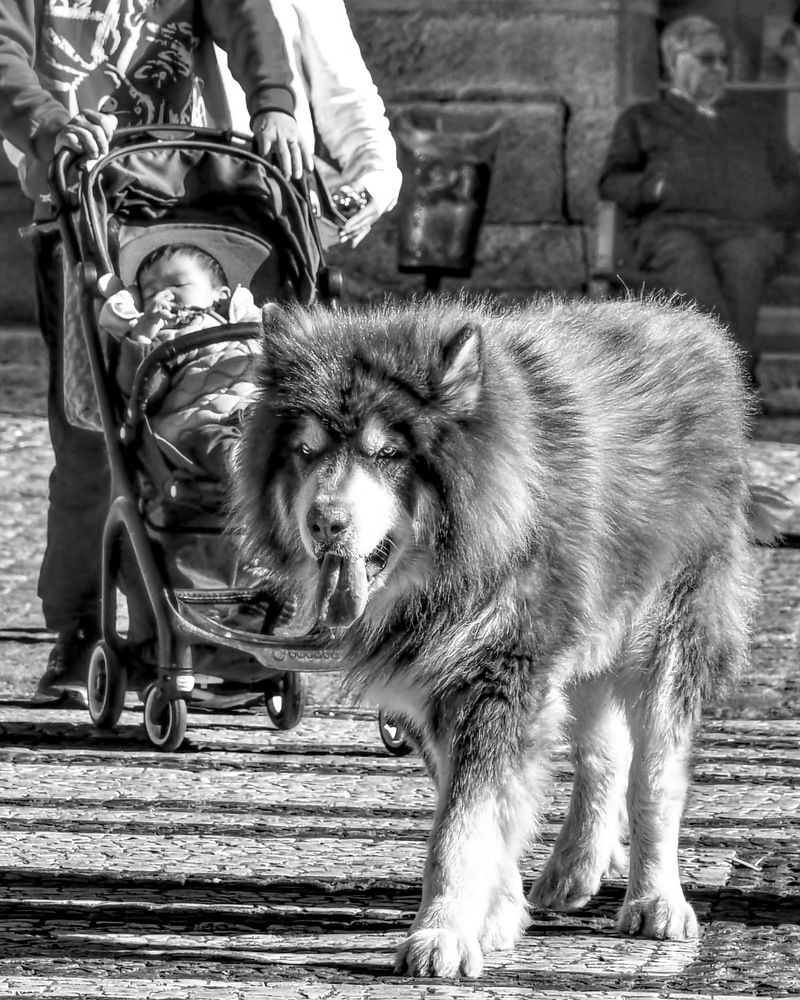 Photograph by Audrius Balcetis