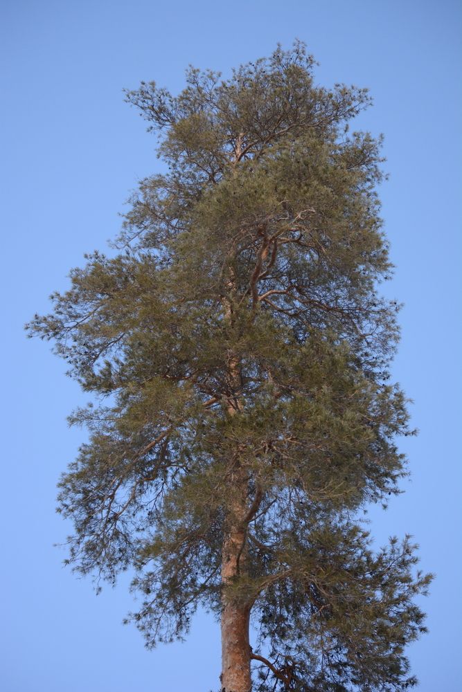 Photograph by Агата Волкова