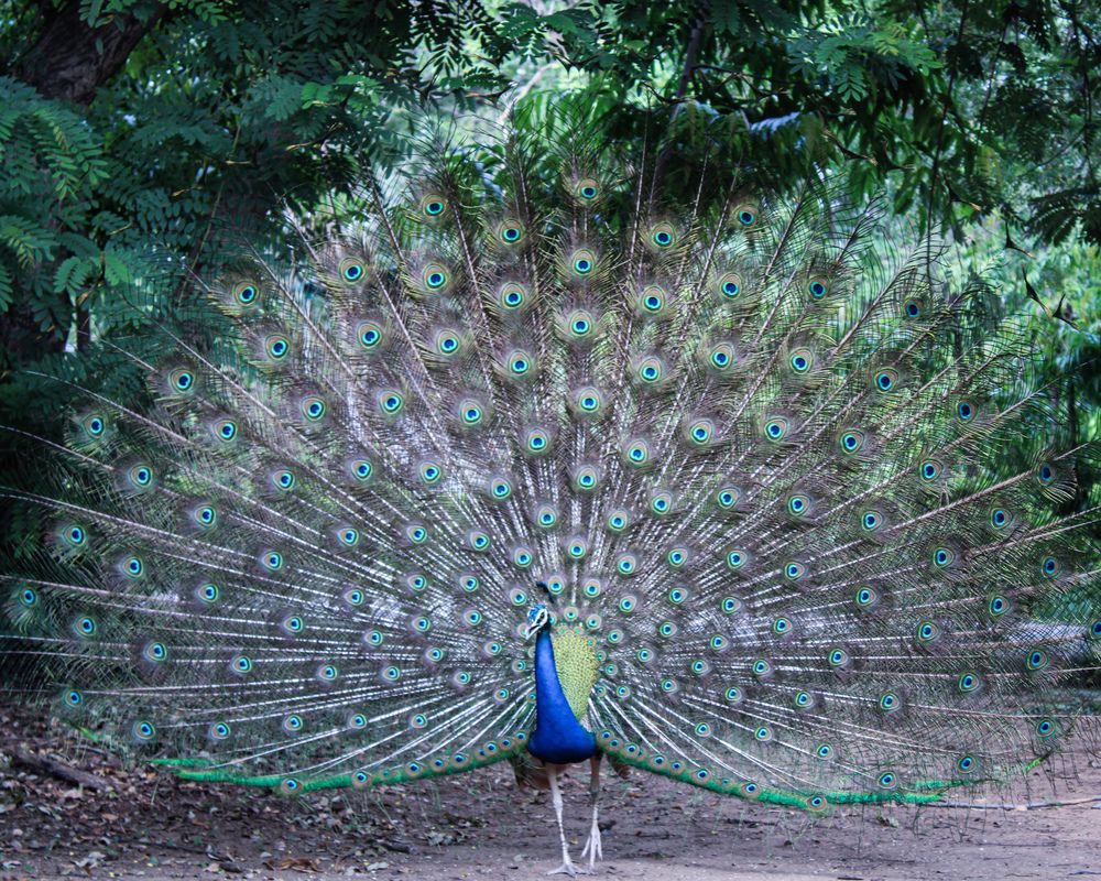 Photograph by Kishan Upadhyay