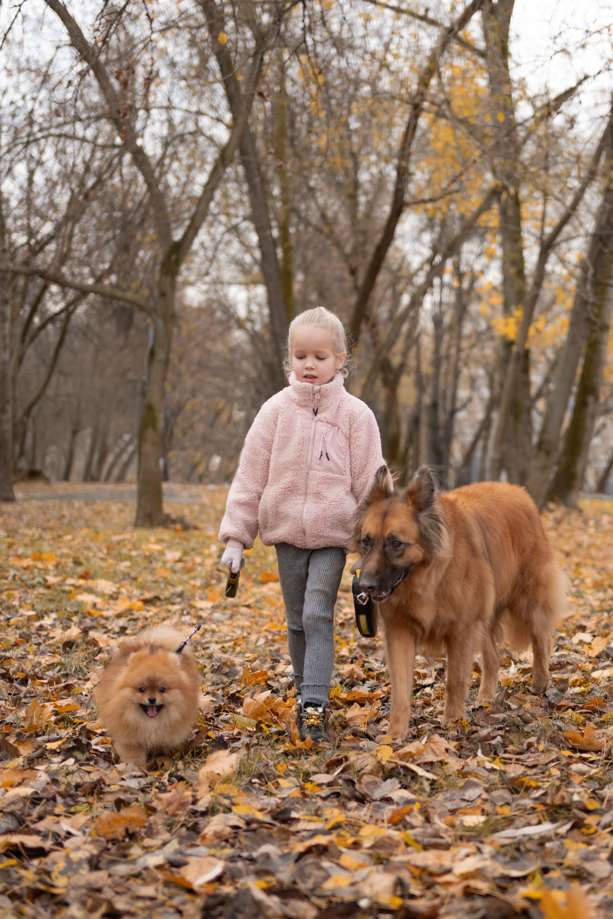 Фотография автора Александра Белова