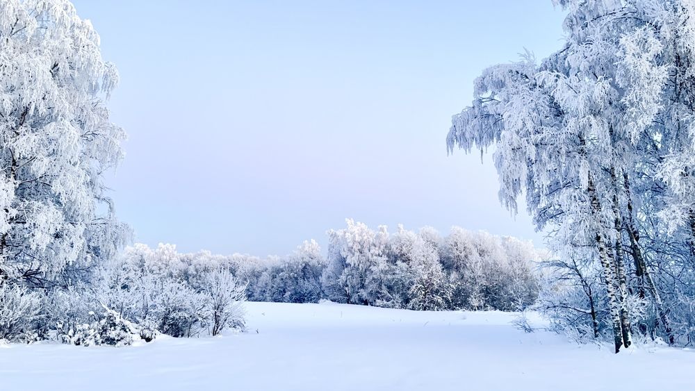 Фотография автора Ольга Осинина