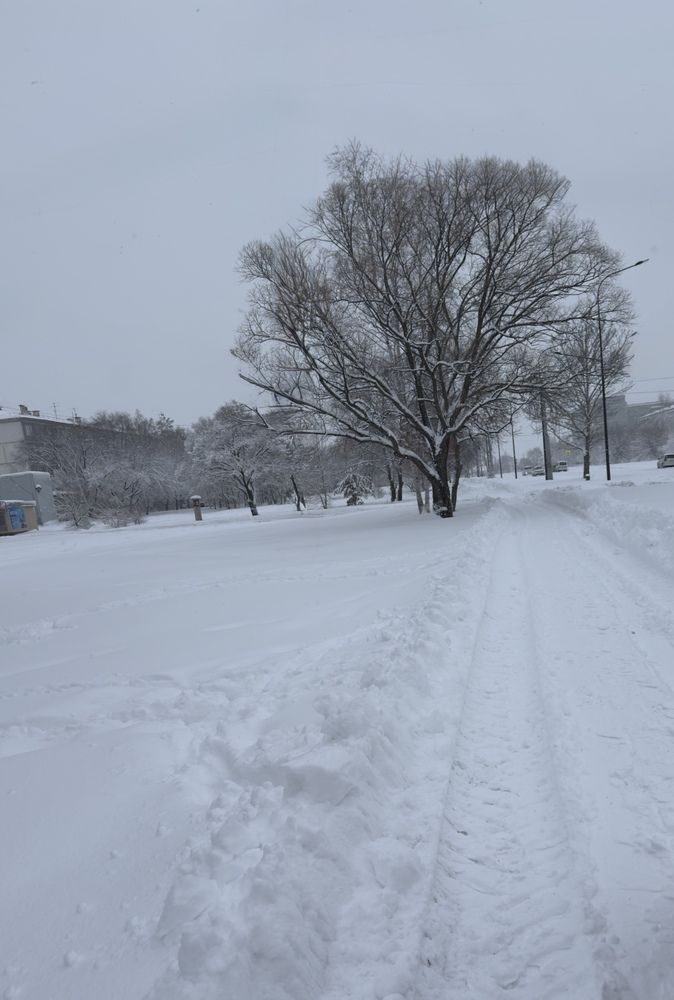 Photograph by Раиса Кравченко