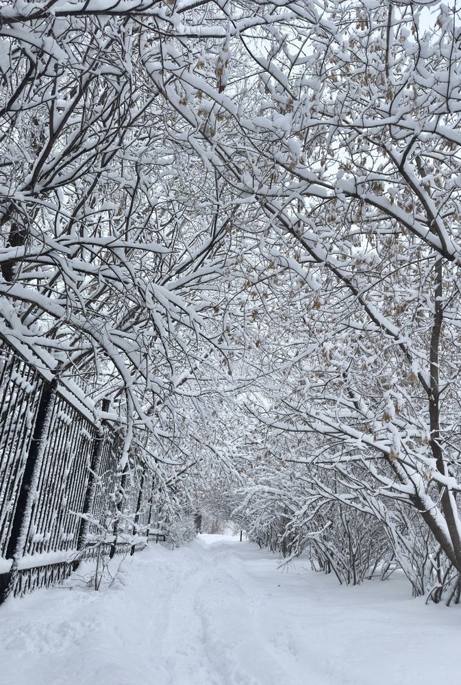Photograph by Раиса Кравченко