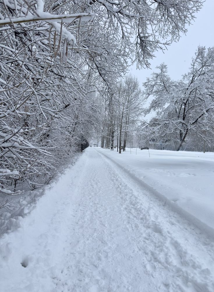 Photograph by Раиса Кравченко