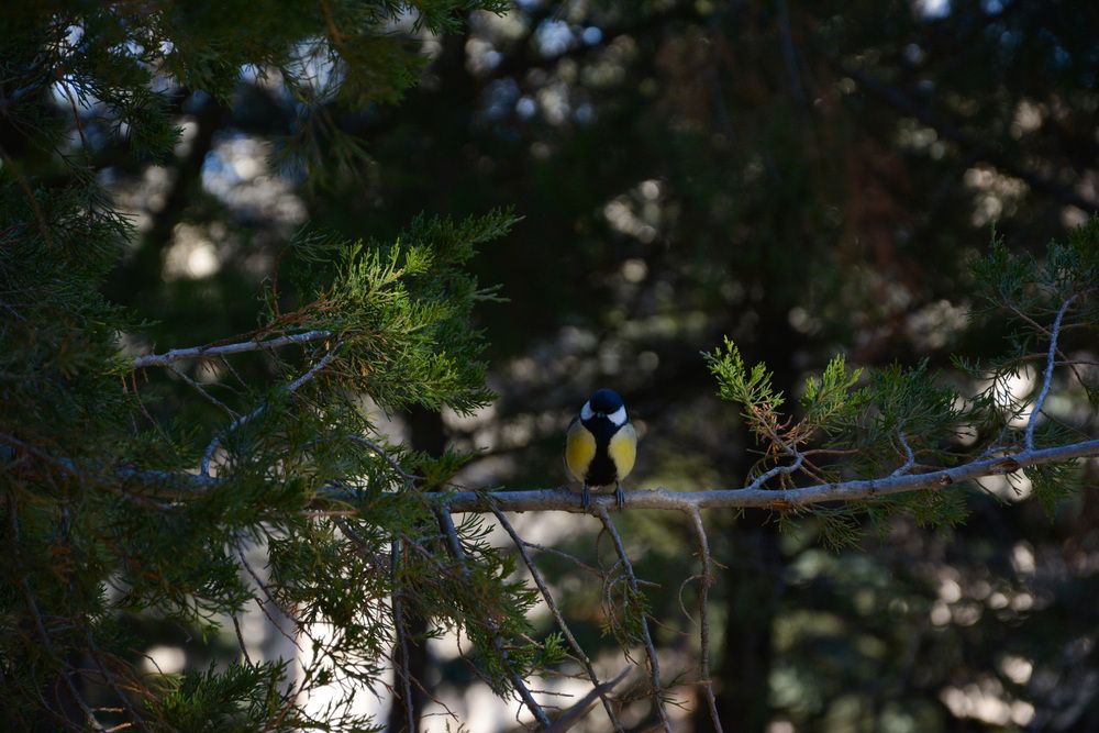 Photograph by Агата Волкова