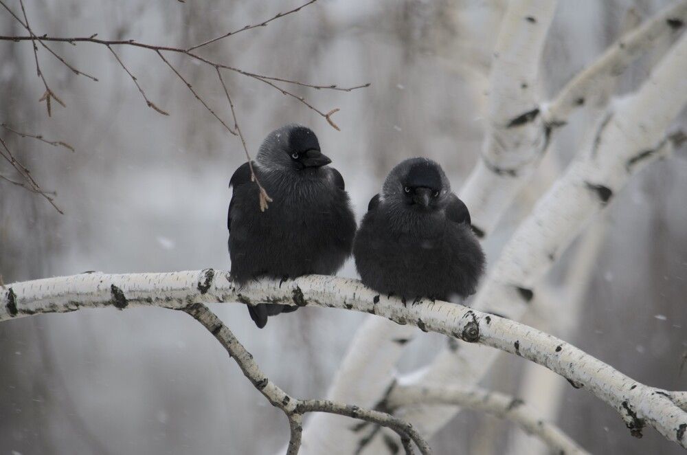 Photograph by Агата Волкова