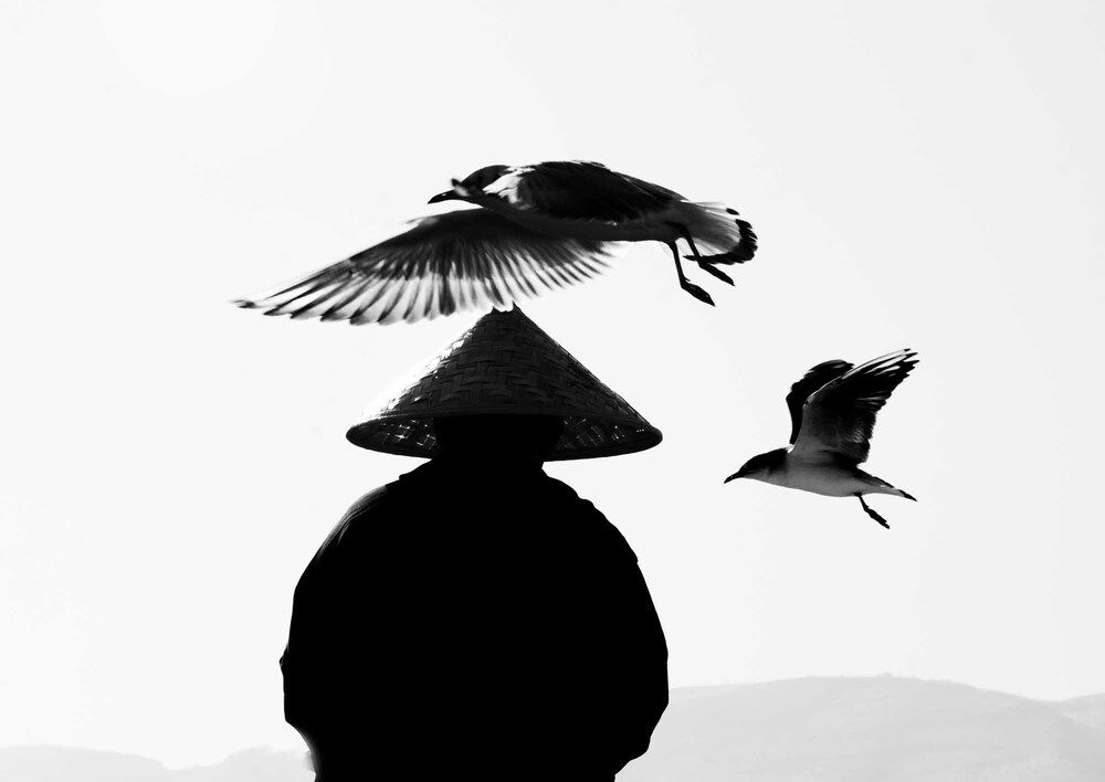 Photograph by farid azadi
