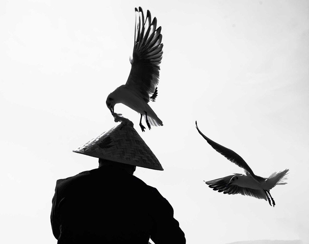 Photograph by farid azadi