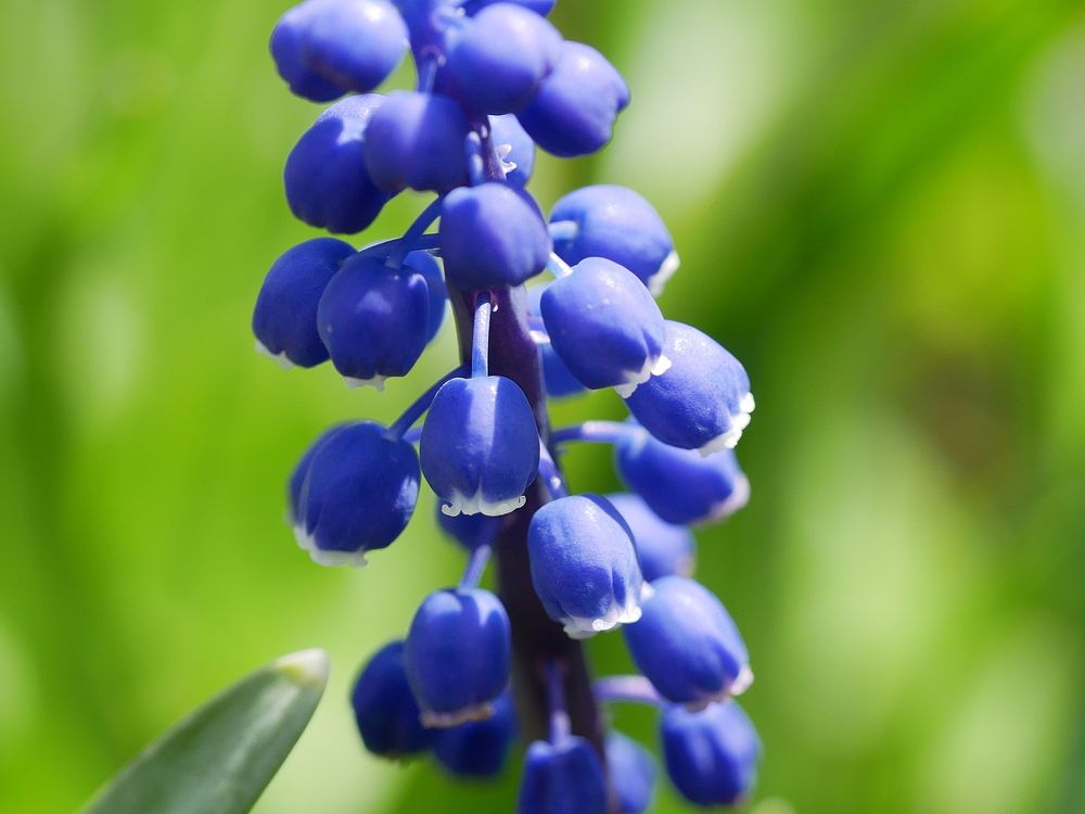 Photograph by Наталья Лобанова