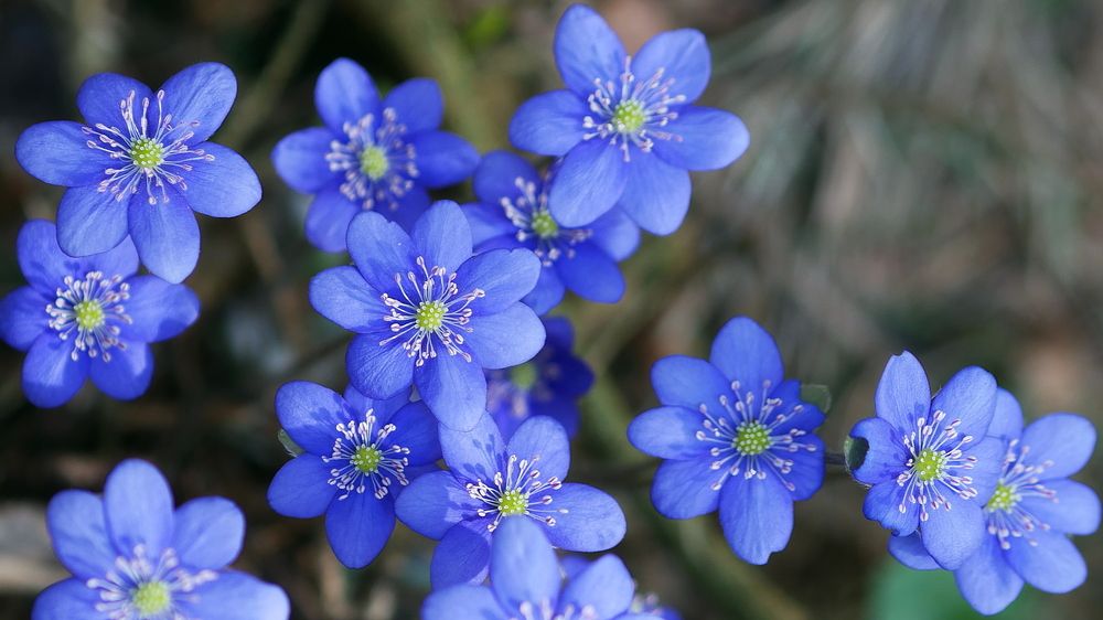 Photograph by Наталья Лобанова