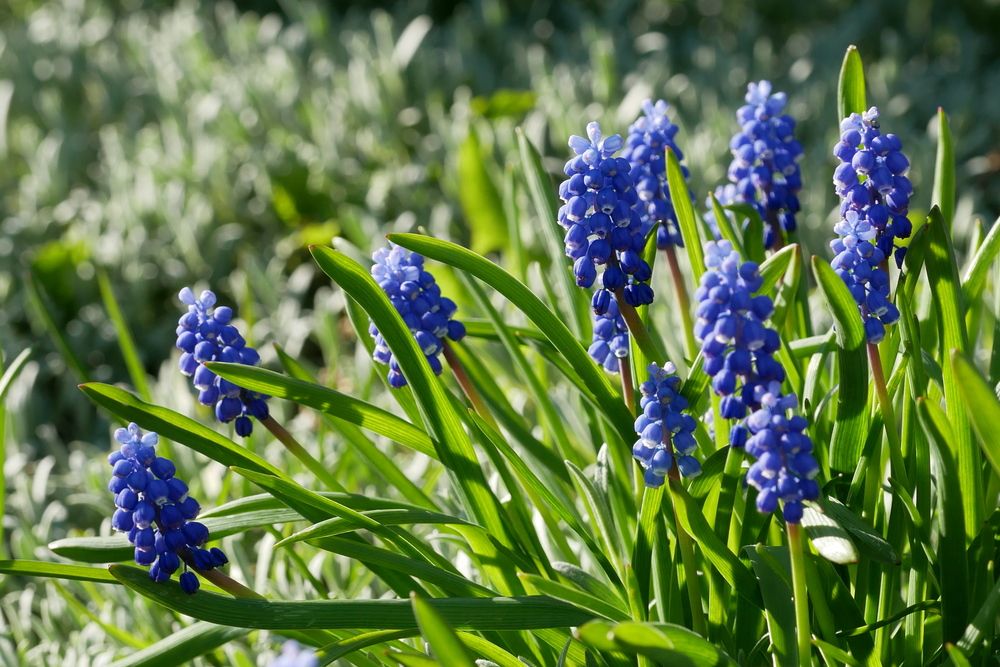 Photograph by Наталья Лобанова