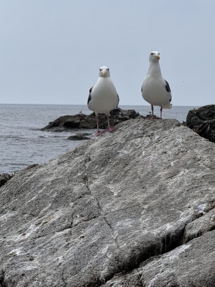 Photograph by Сертакова Алёна