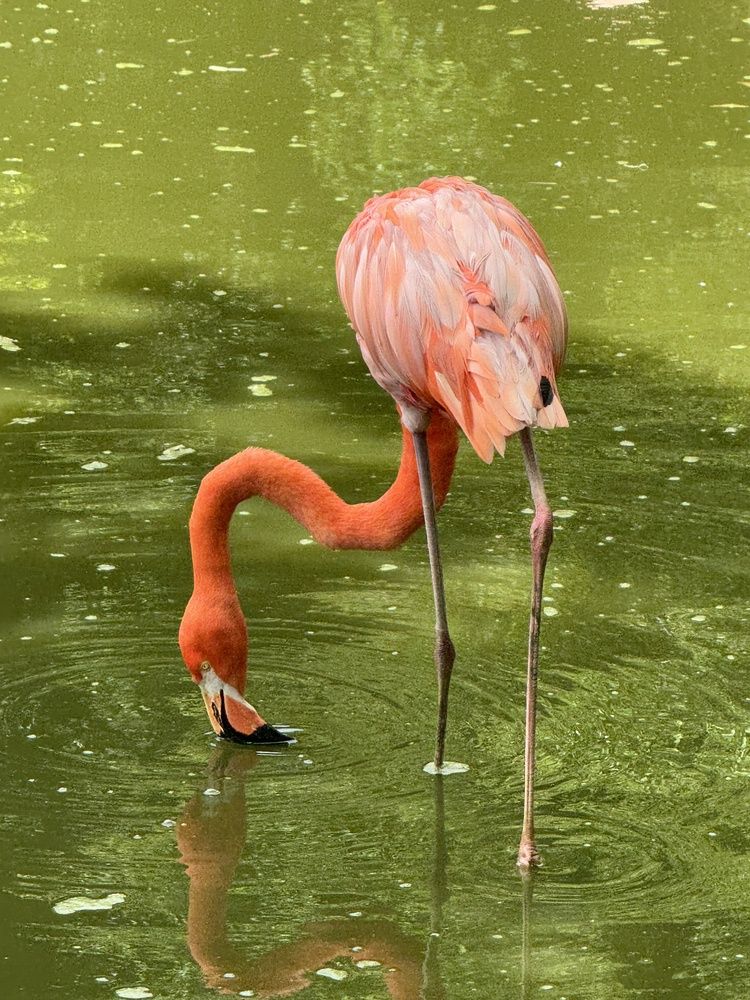 Photograph by Сертакова Алёна