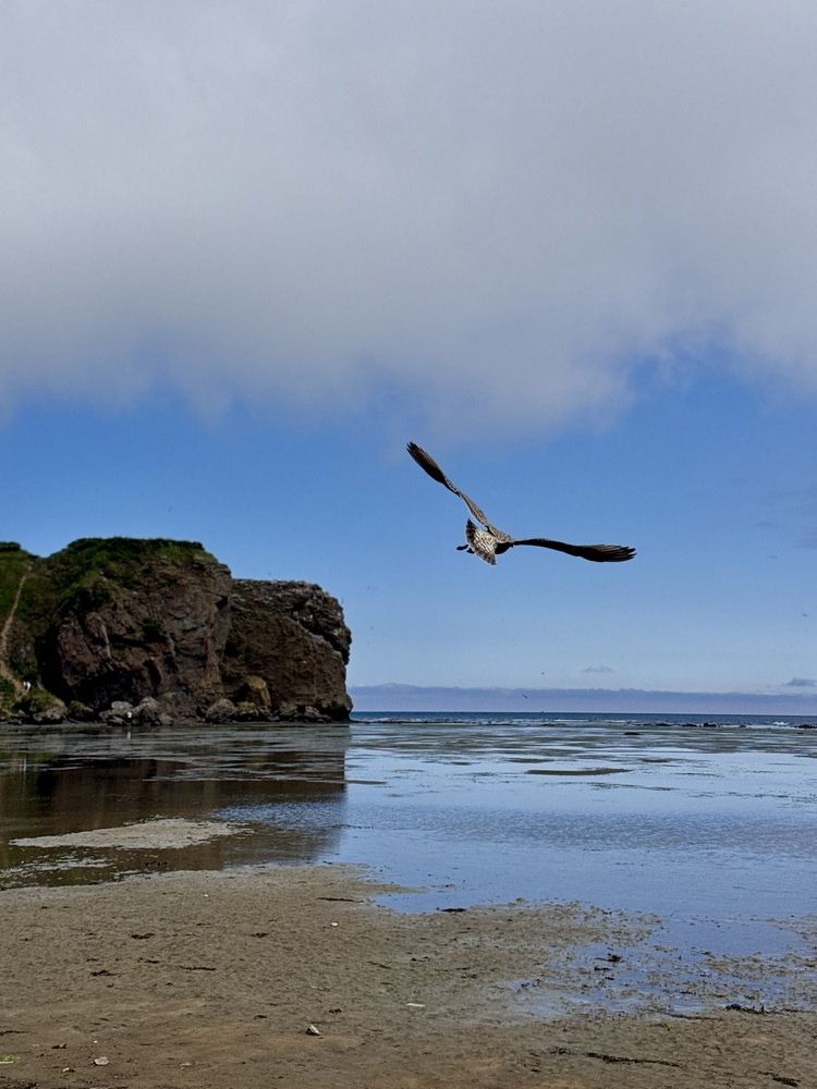 Photograph by Сертакова Алёна