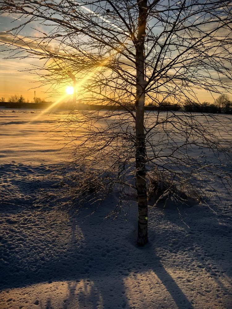 Photograph by Наталия Самкина