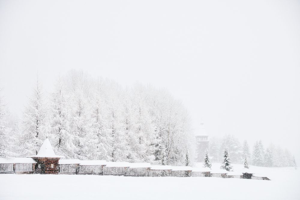 Фотография автора Леонтьева Татьяна