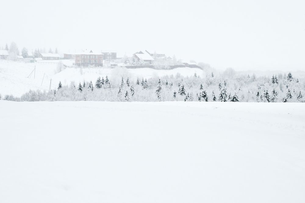Фотография автора Леонтьева Татьяна