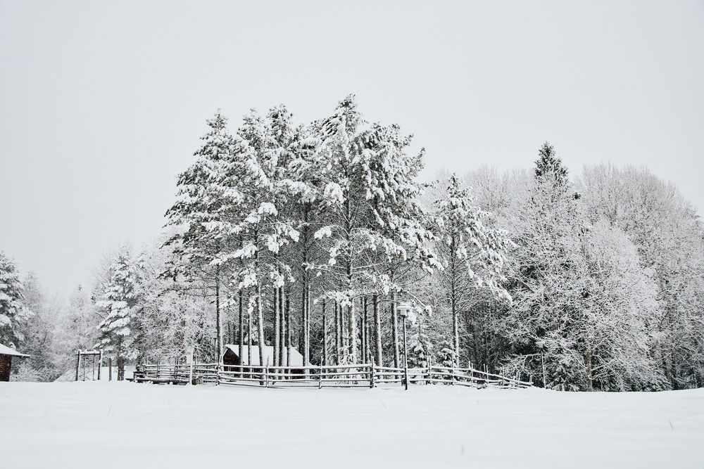 Фотография автора Леонтьева Татьяна
