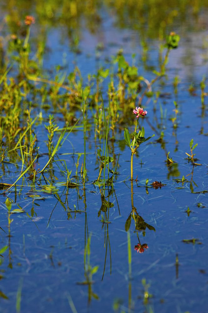 Фотография автора Ирина Гриценко