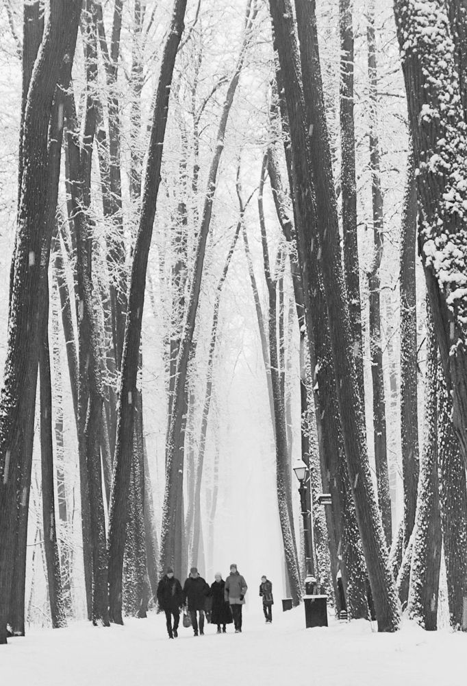 Photograph by Александра Куроедова