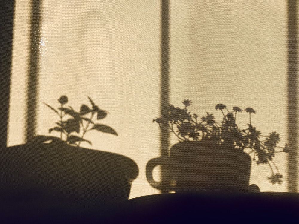 Shadows