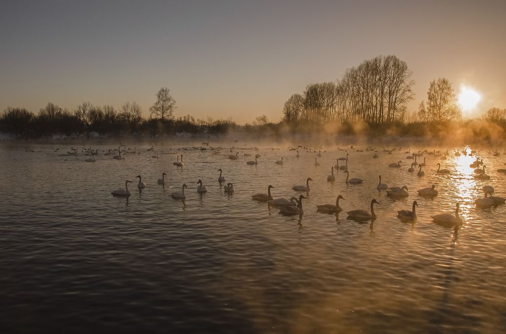 Photograph by Юрий Кухаришин