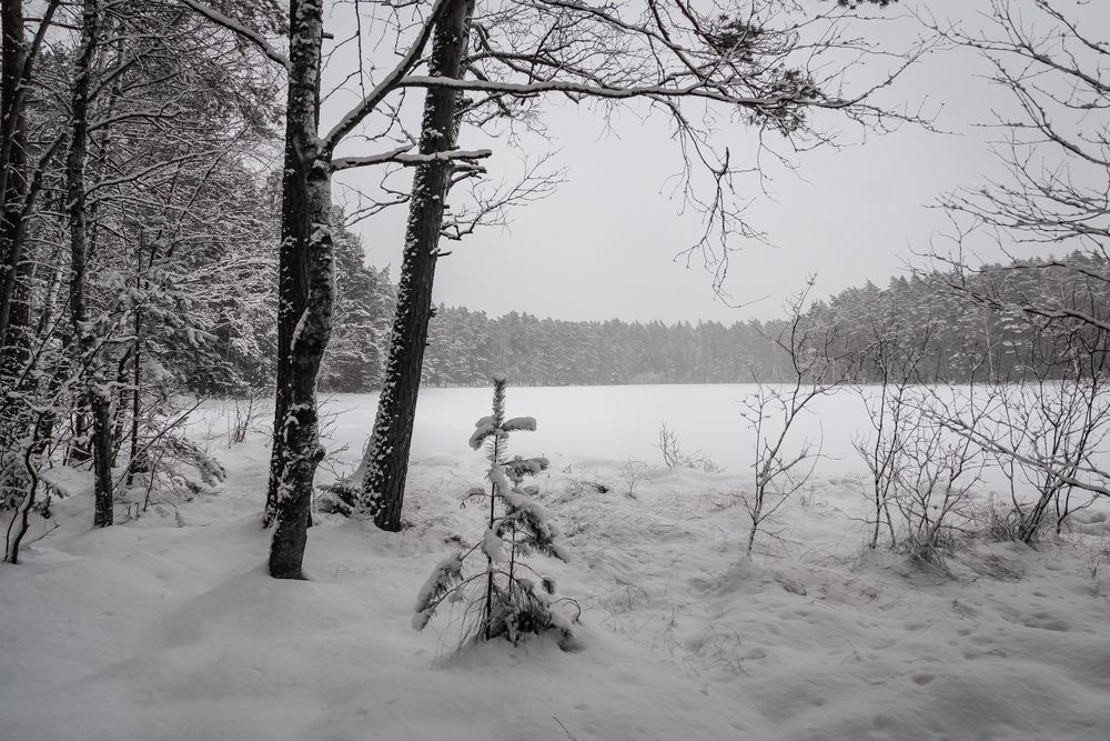 Photograph by Наталья Колеватова