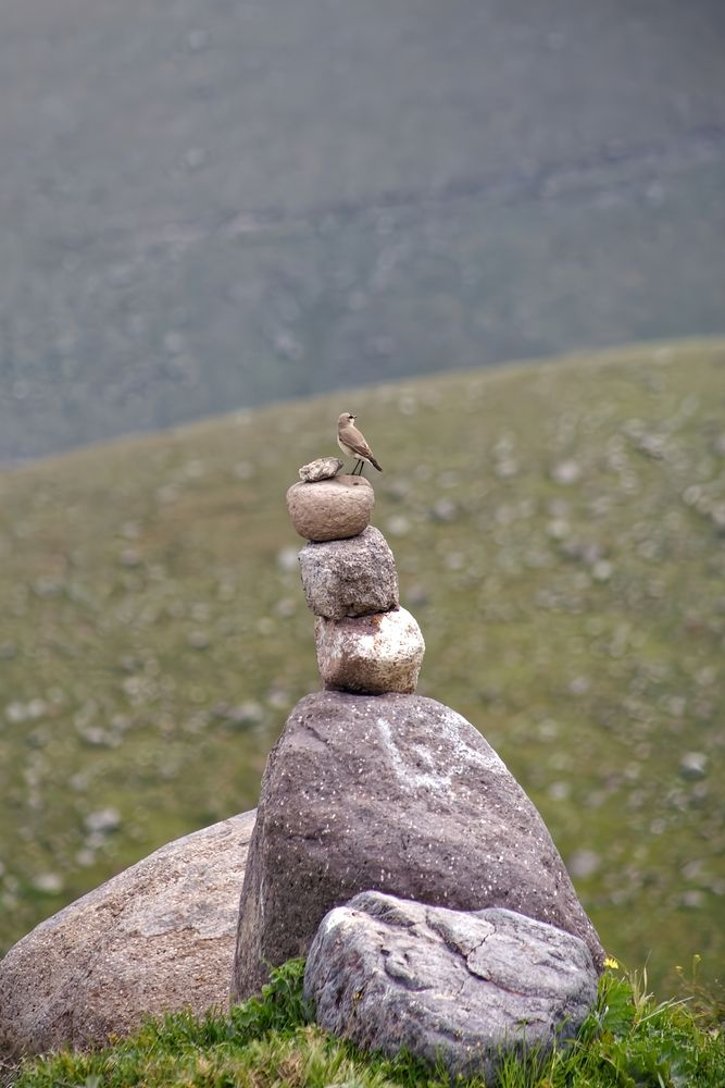 Photograph by Maghsoud Moradi