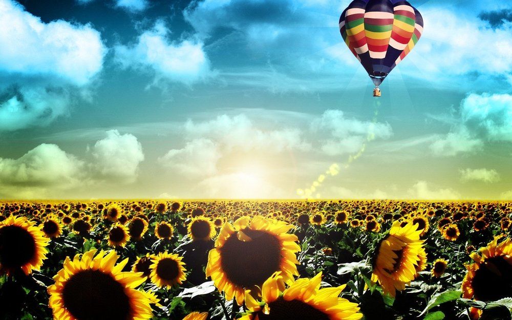 Photograph by Мазур София